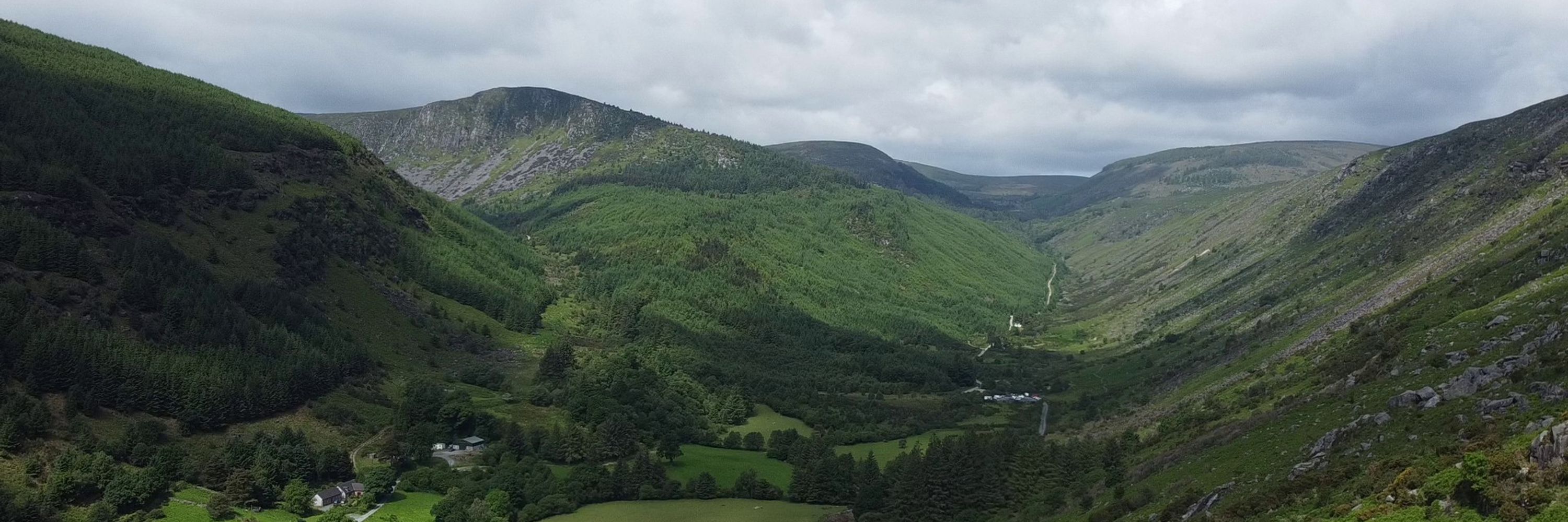 Primal Ireland