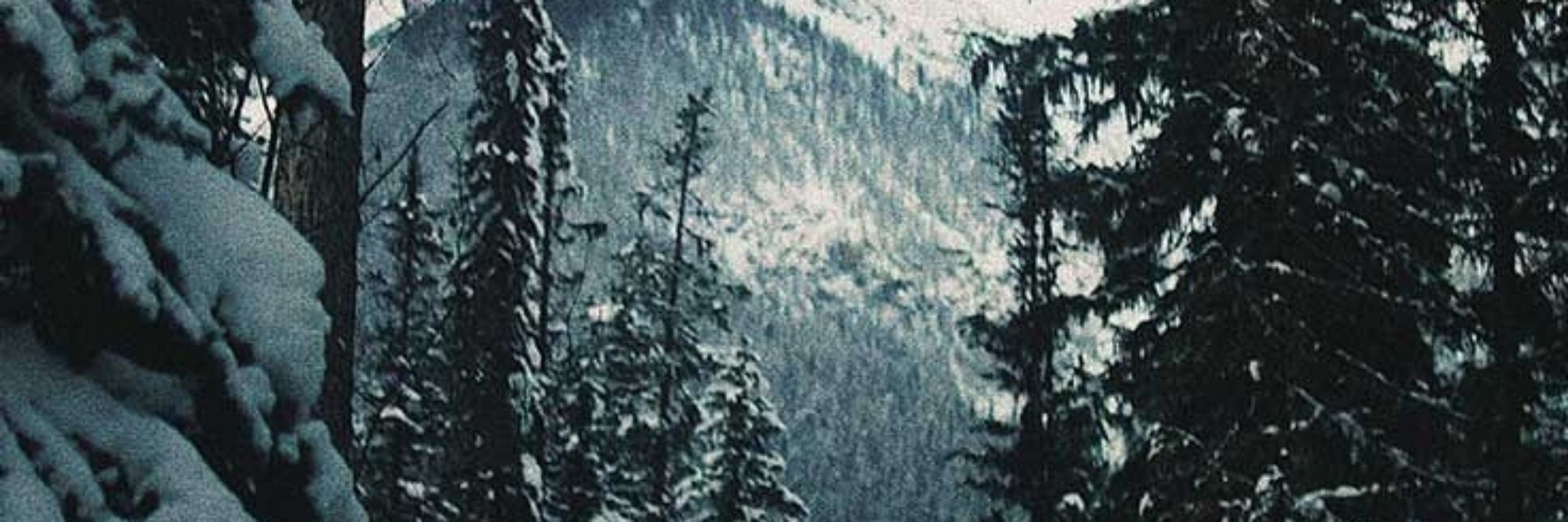Fernen