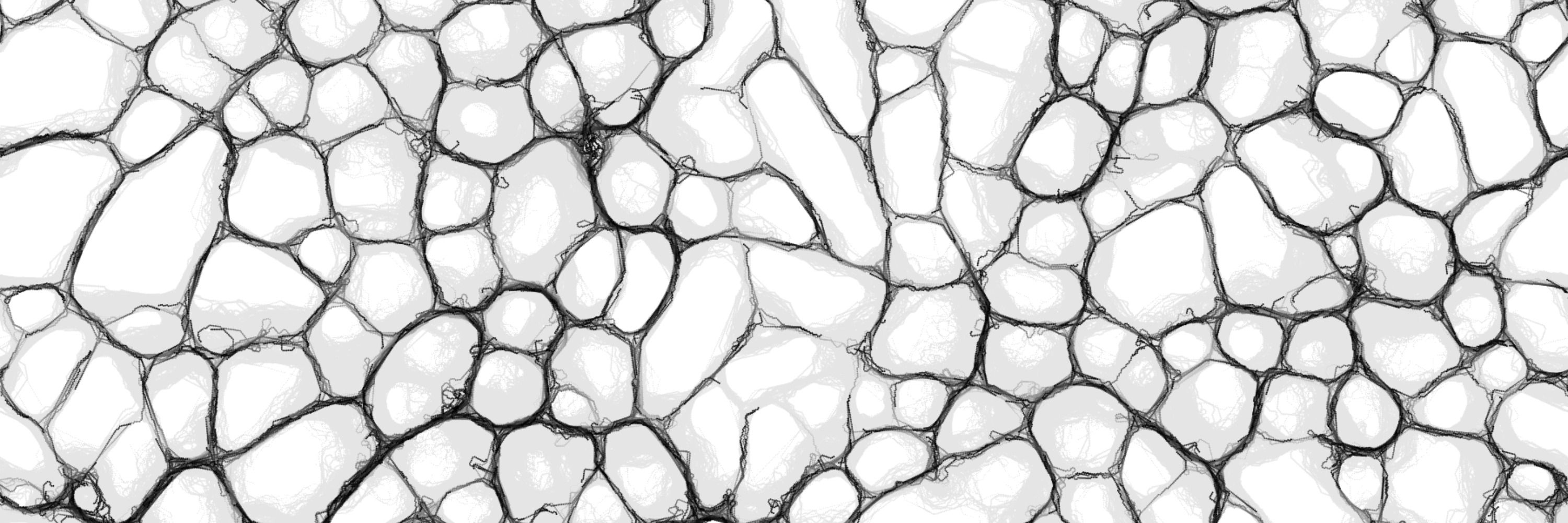 Inverse Complexity Lab