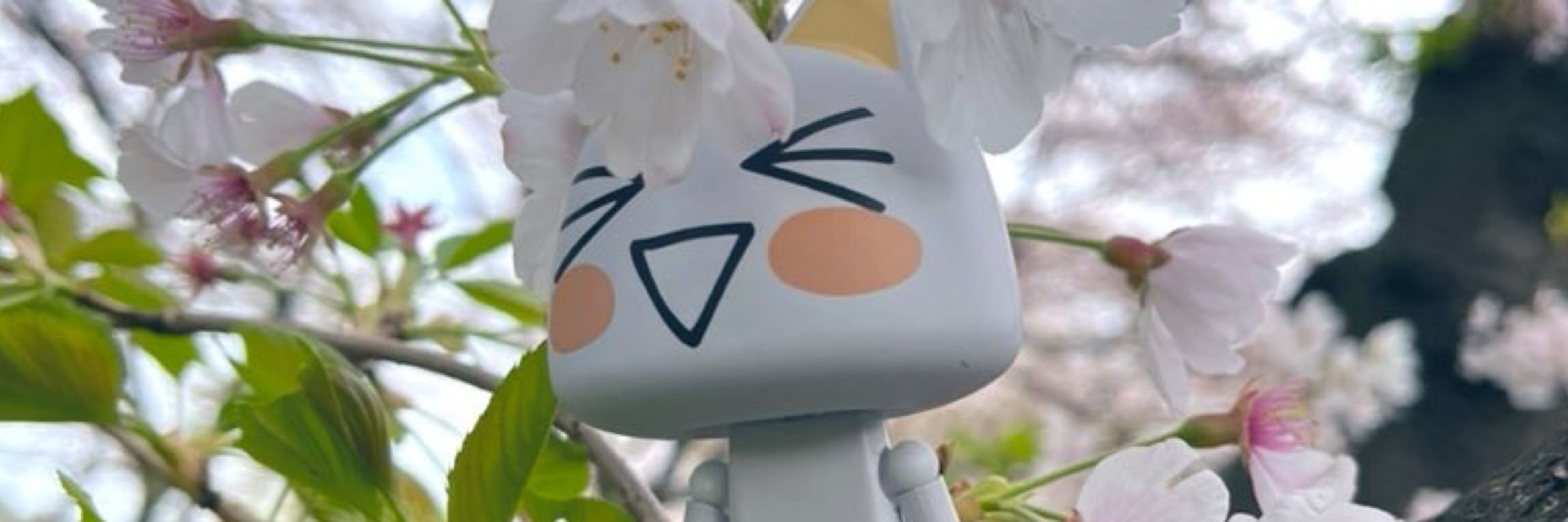 ねこ299。