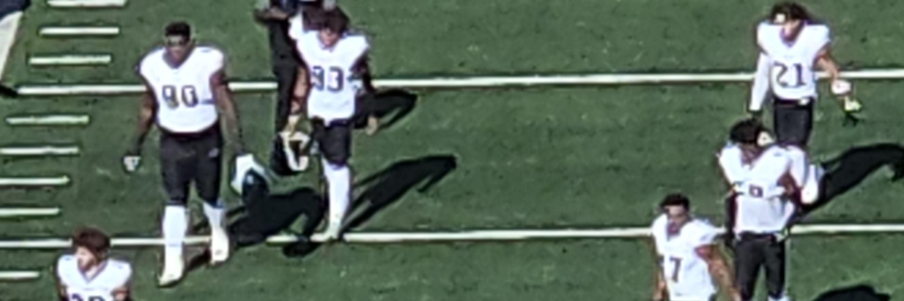 Real brian Dawkins 