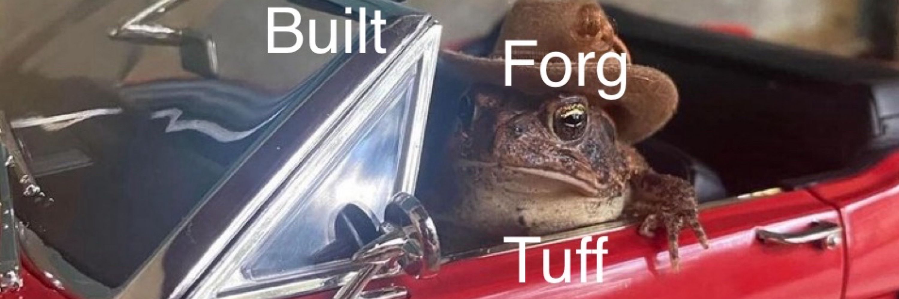AdoForg