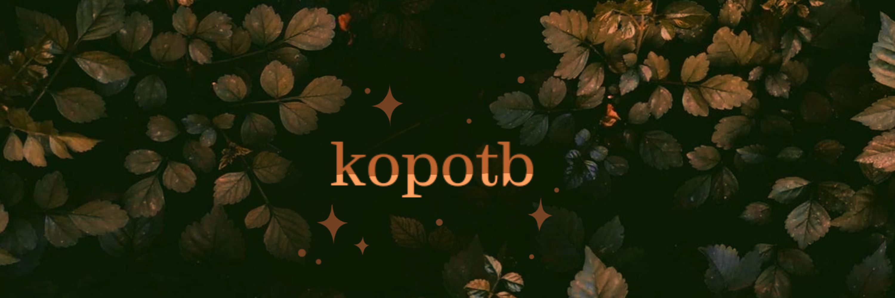k0potb.bsky.social