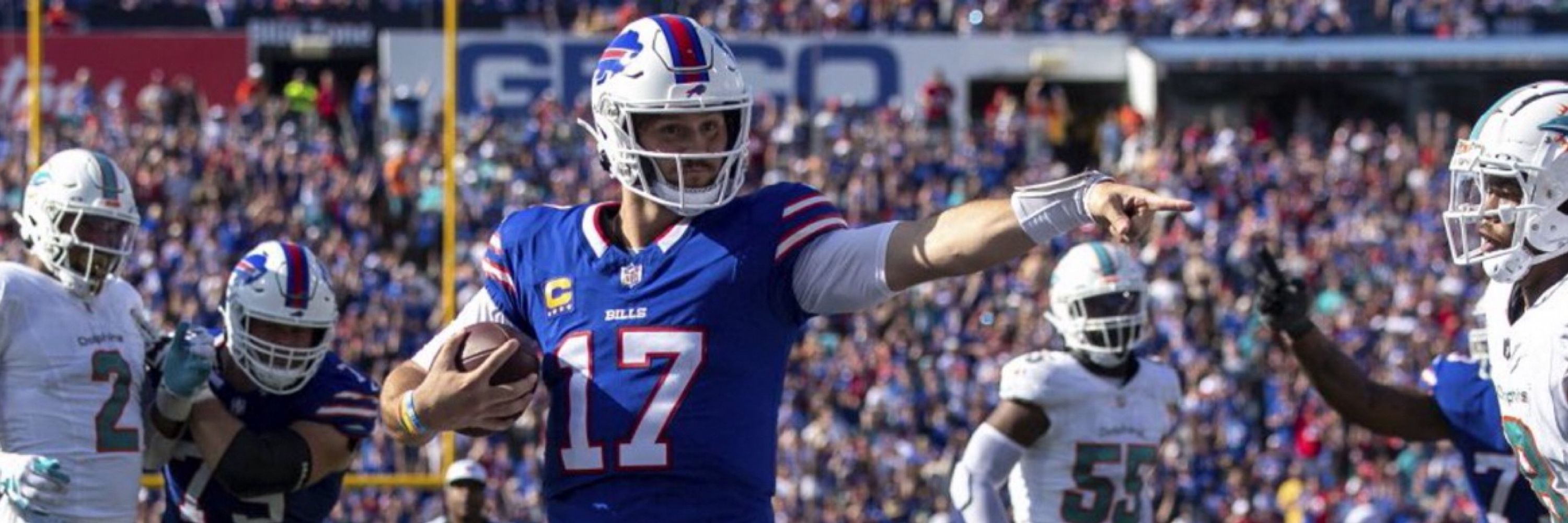 dano-bills 🦬