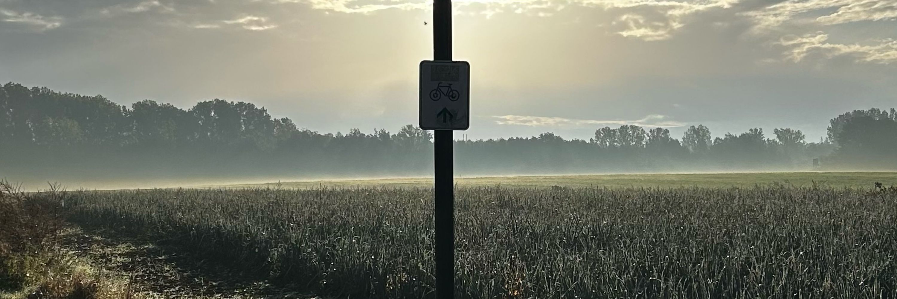 Till Stüve