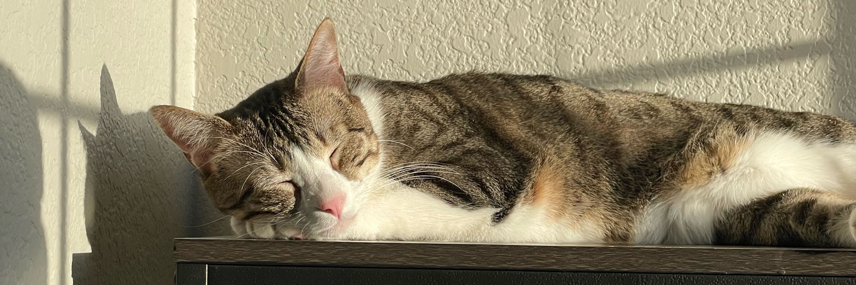 Kyra :)