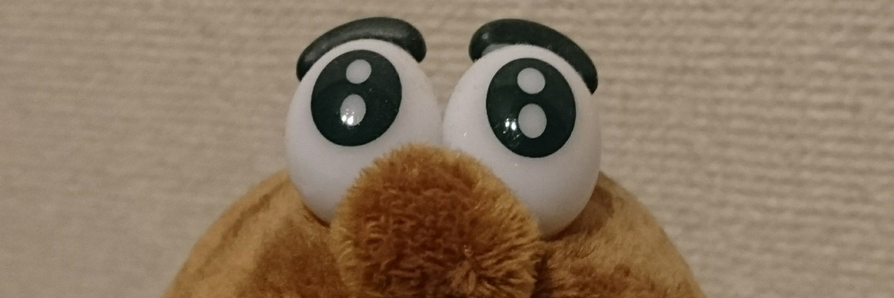 じょー