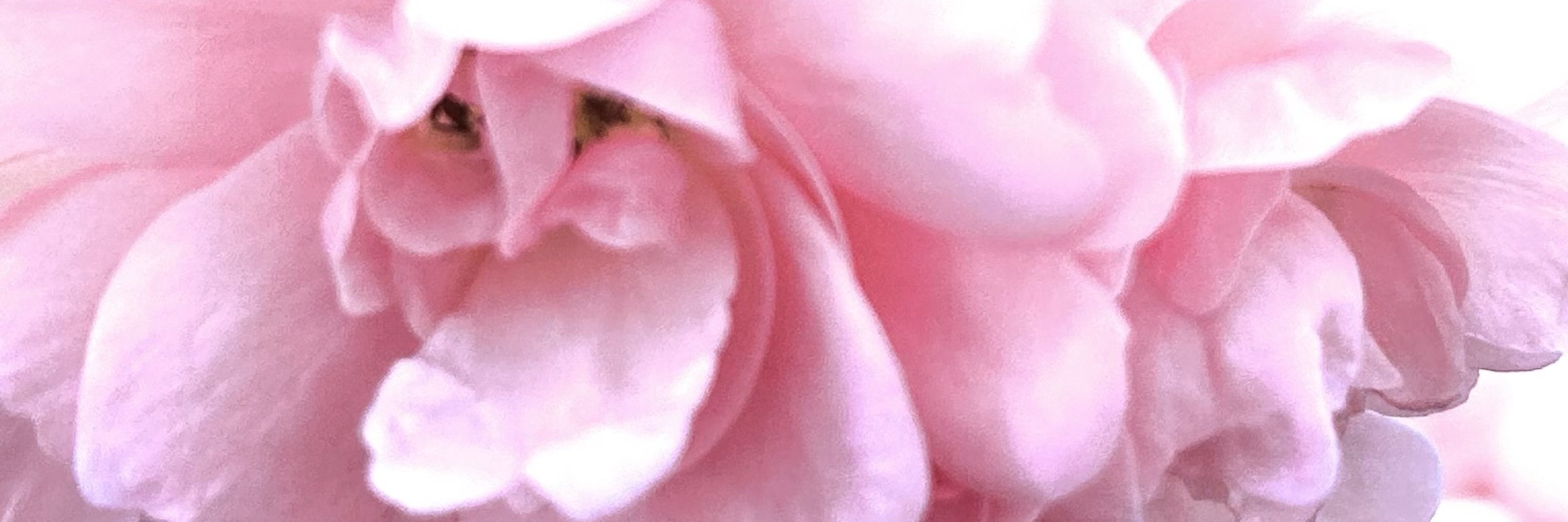 я⌖malitwa 🌸🧸