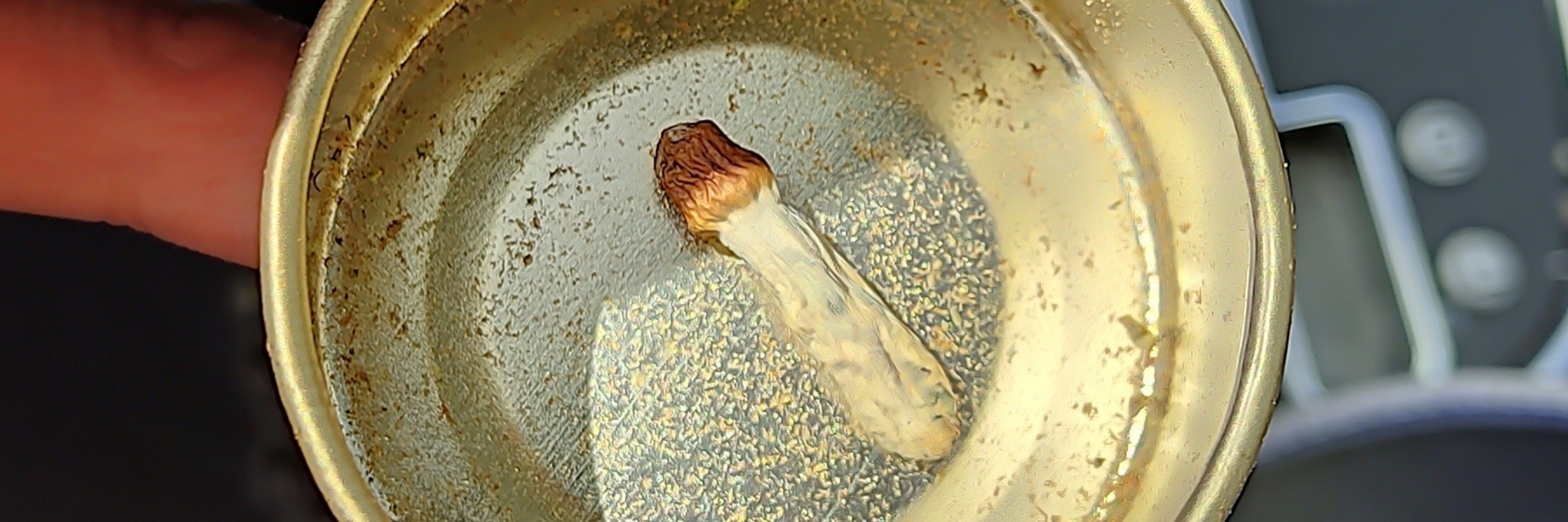 هومان