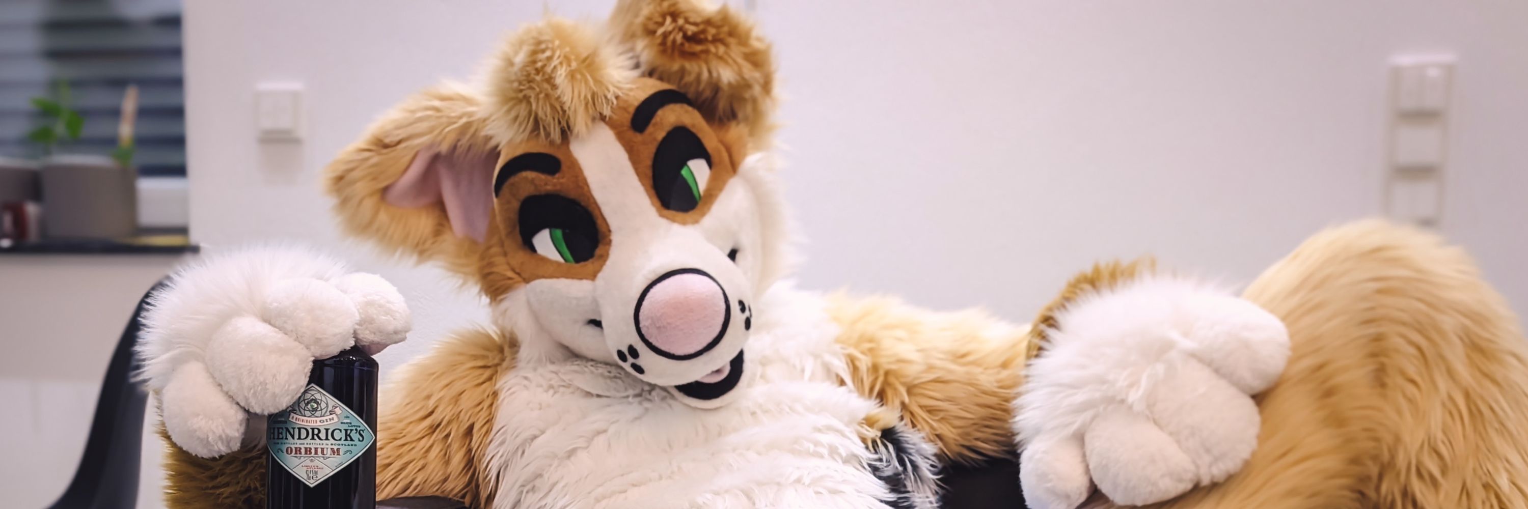 cumdog