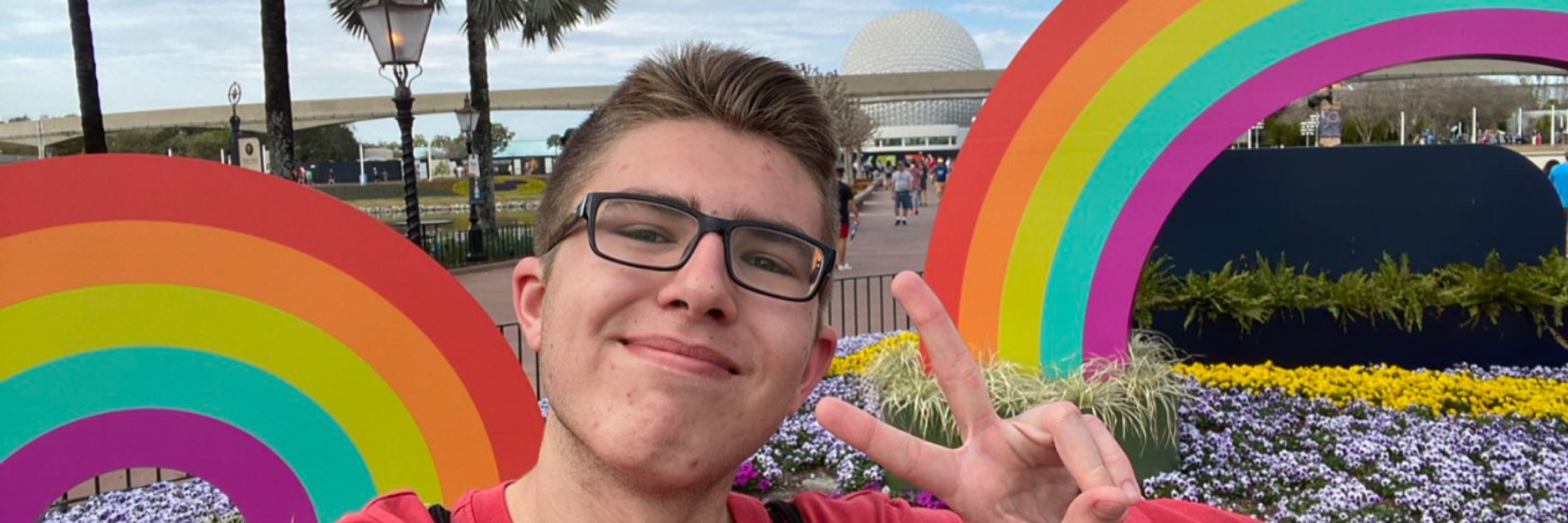 Fun Disney Fan