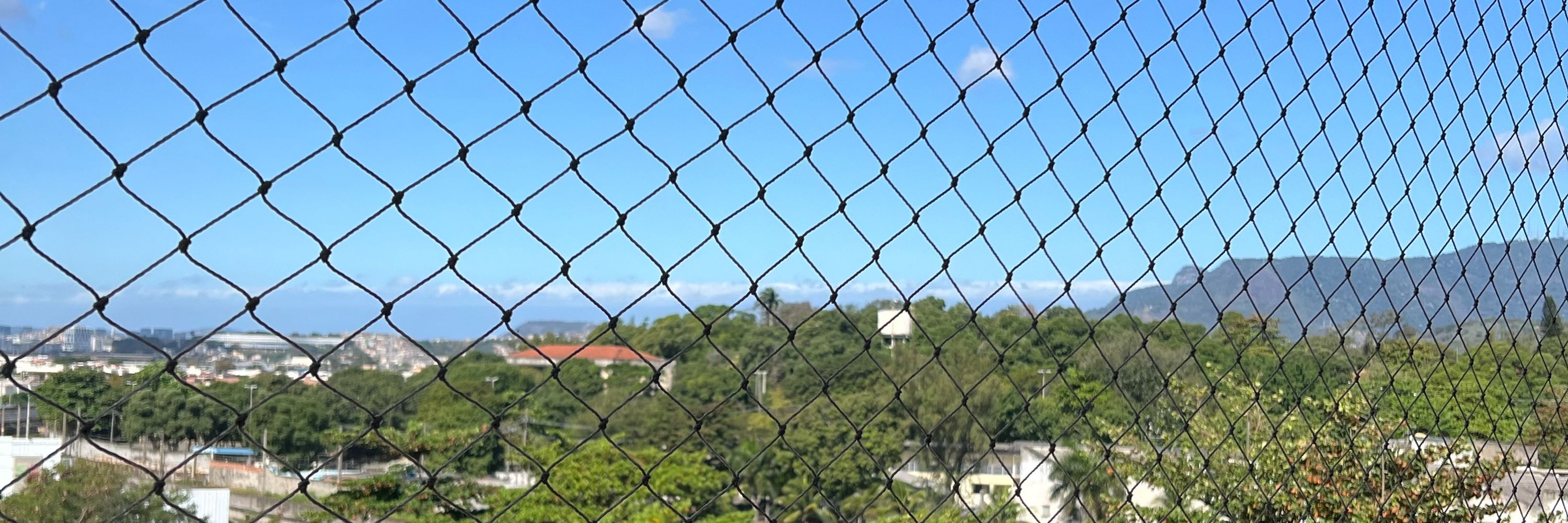 ninguém 