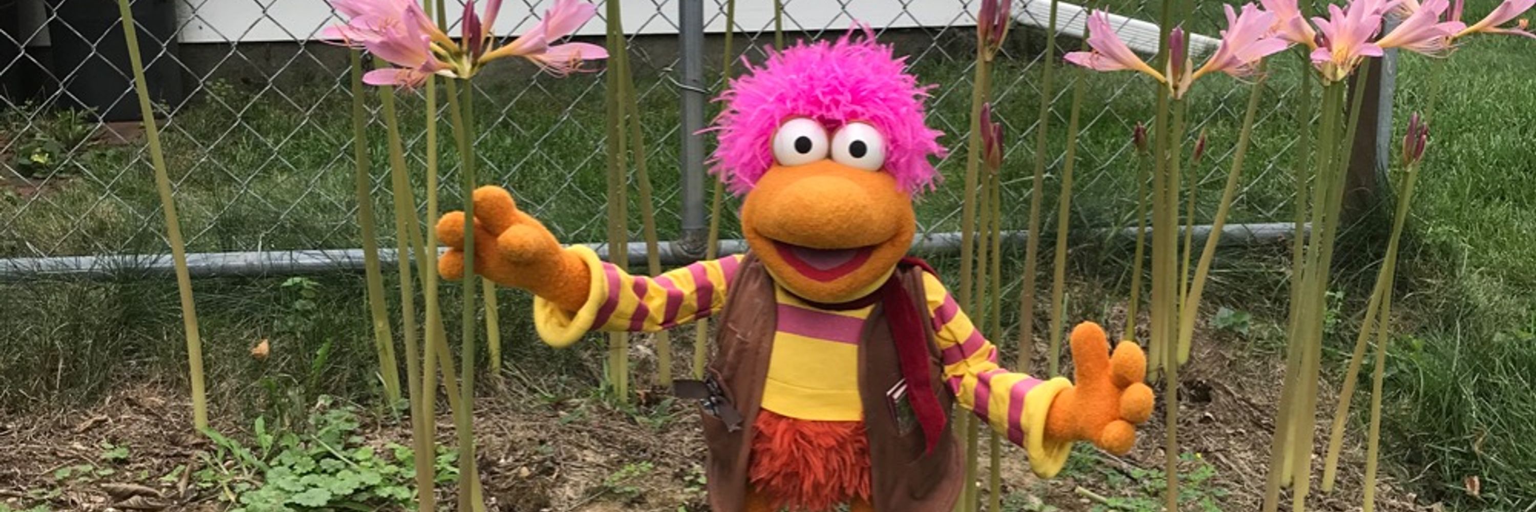 Phraggle