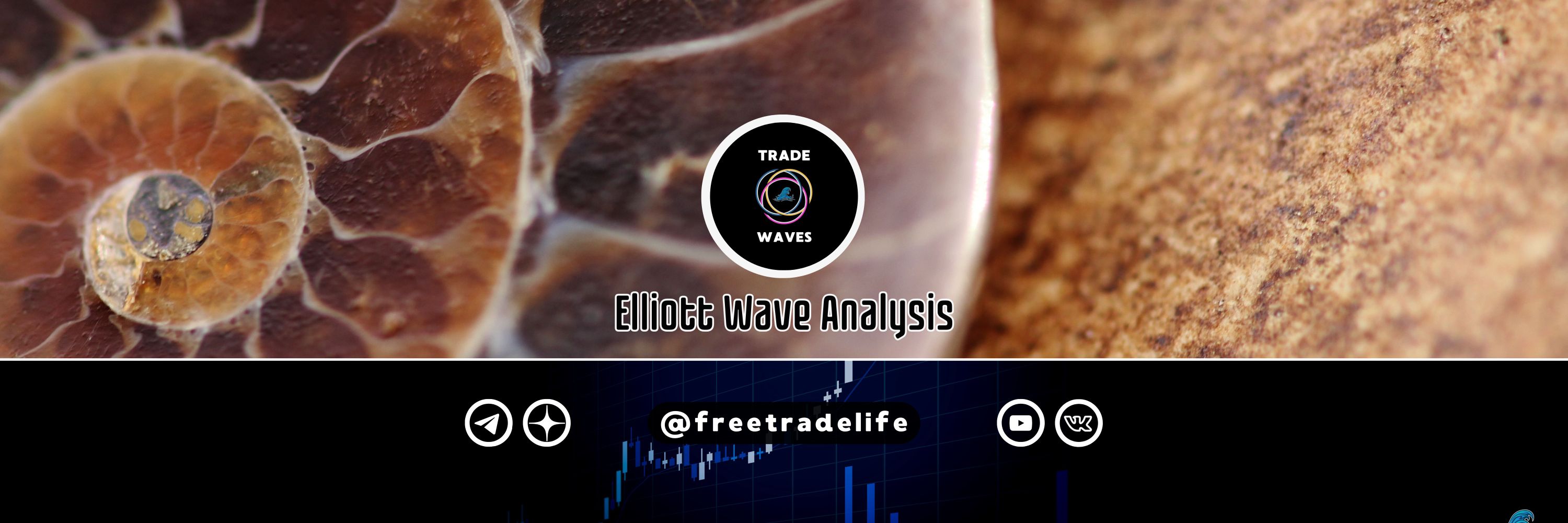 Trade Waves / EWA