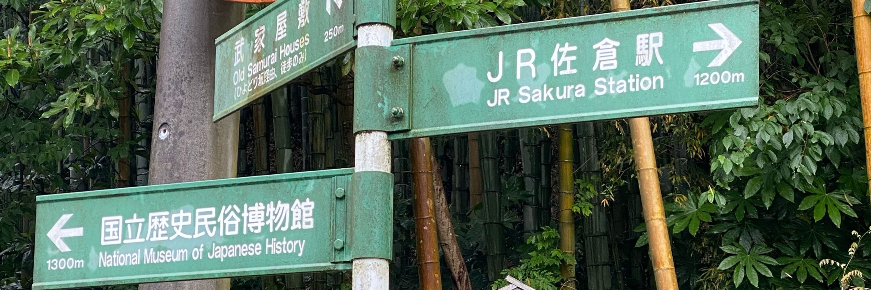 阿彭