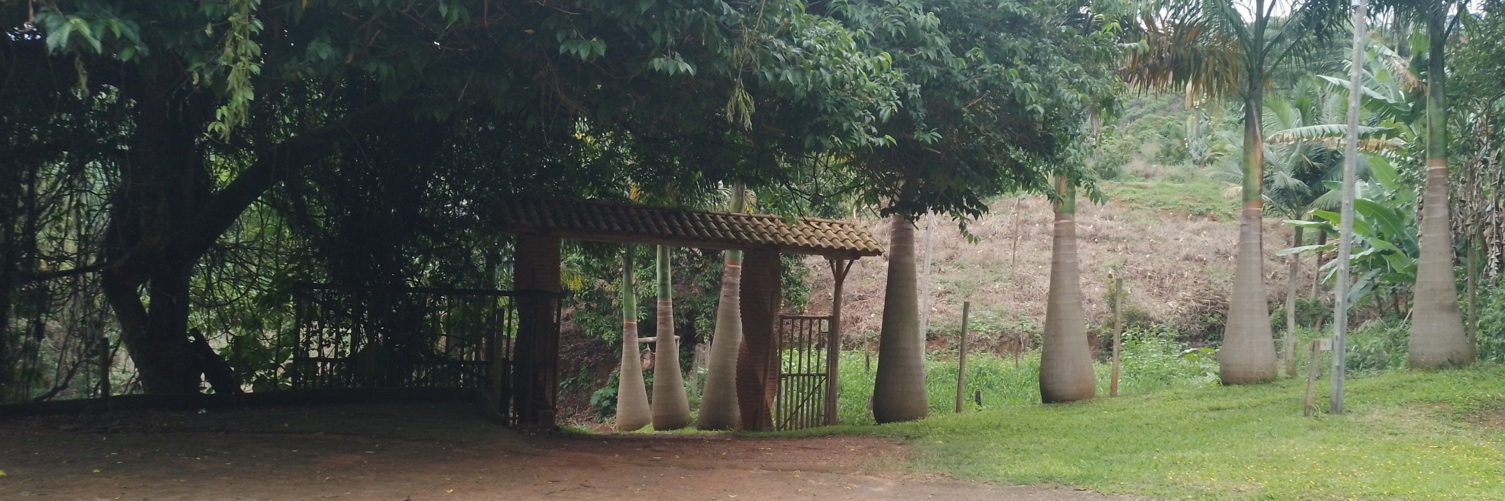 Santanasan
