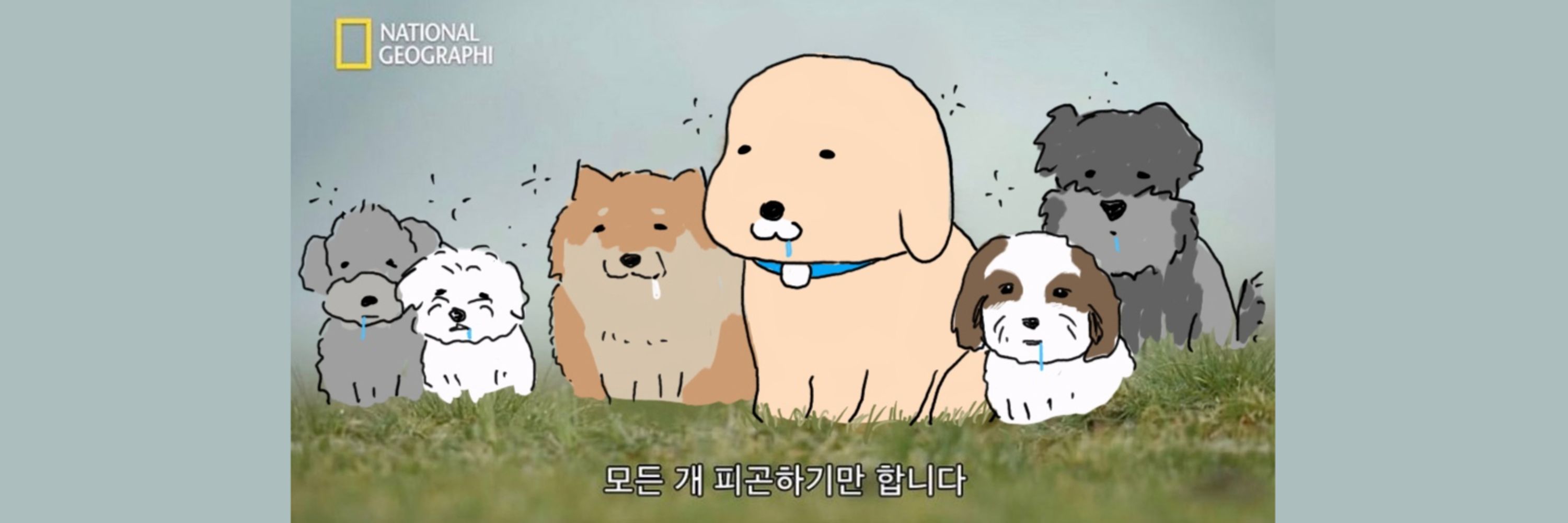 뽑자