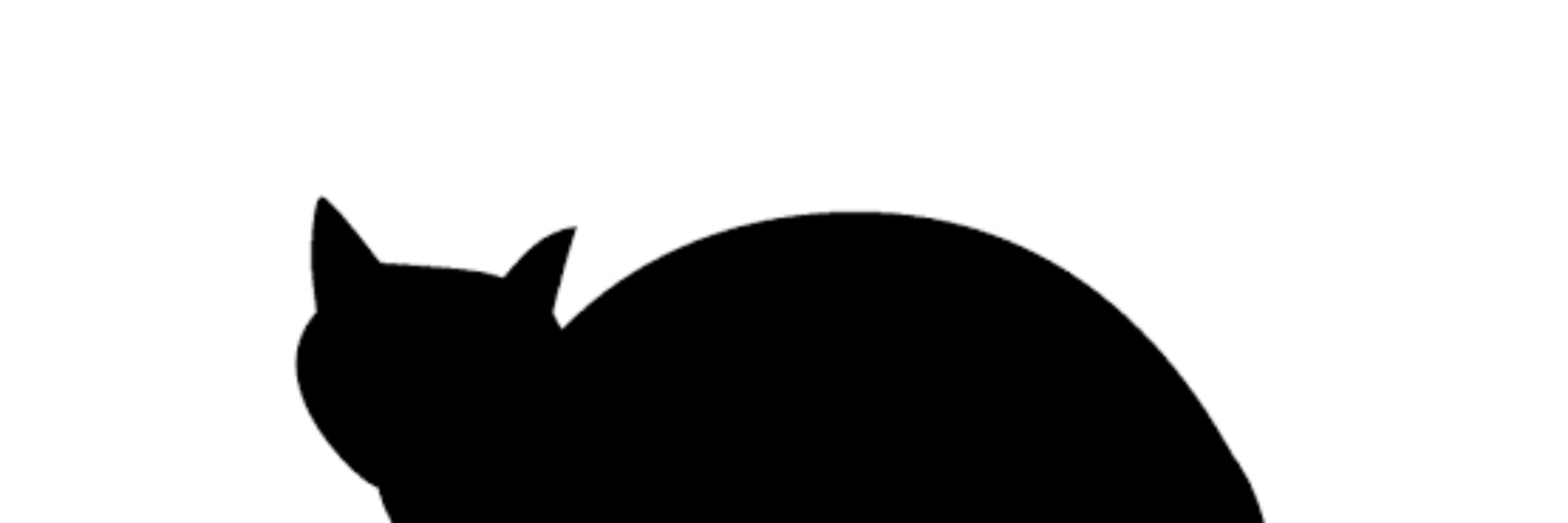 マタタビ丸😺