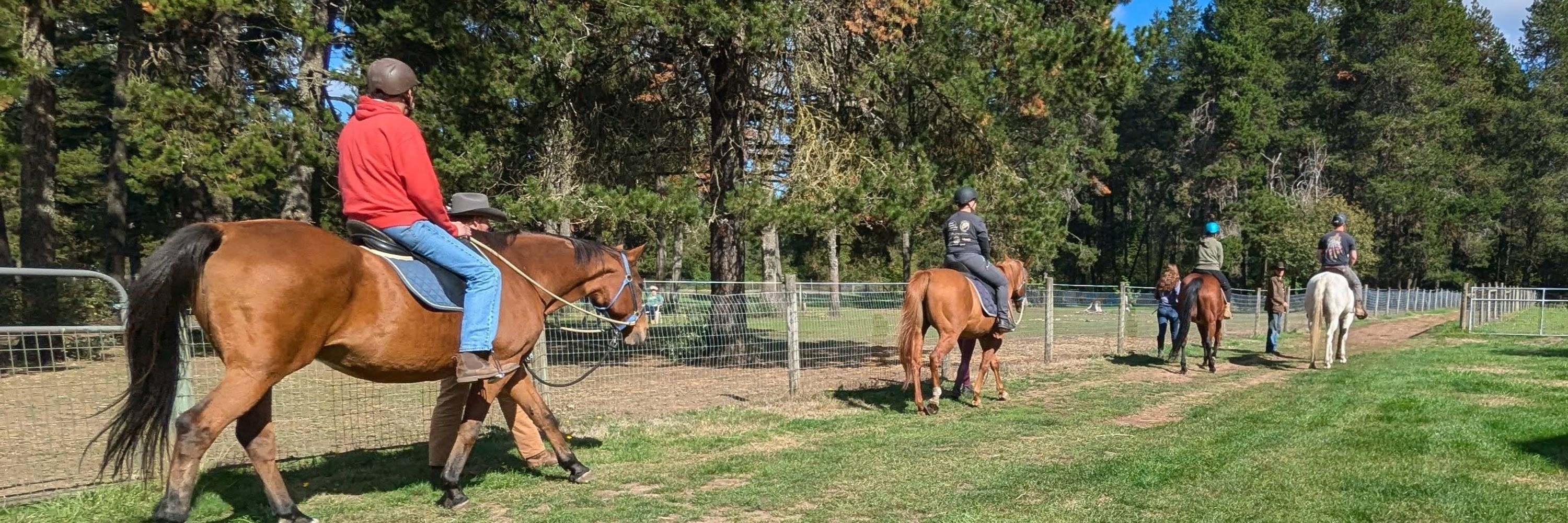 HeartStrides Therapeutic Horsemanship