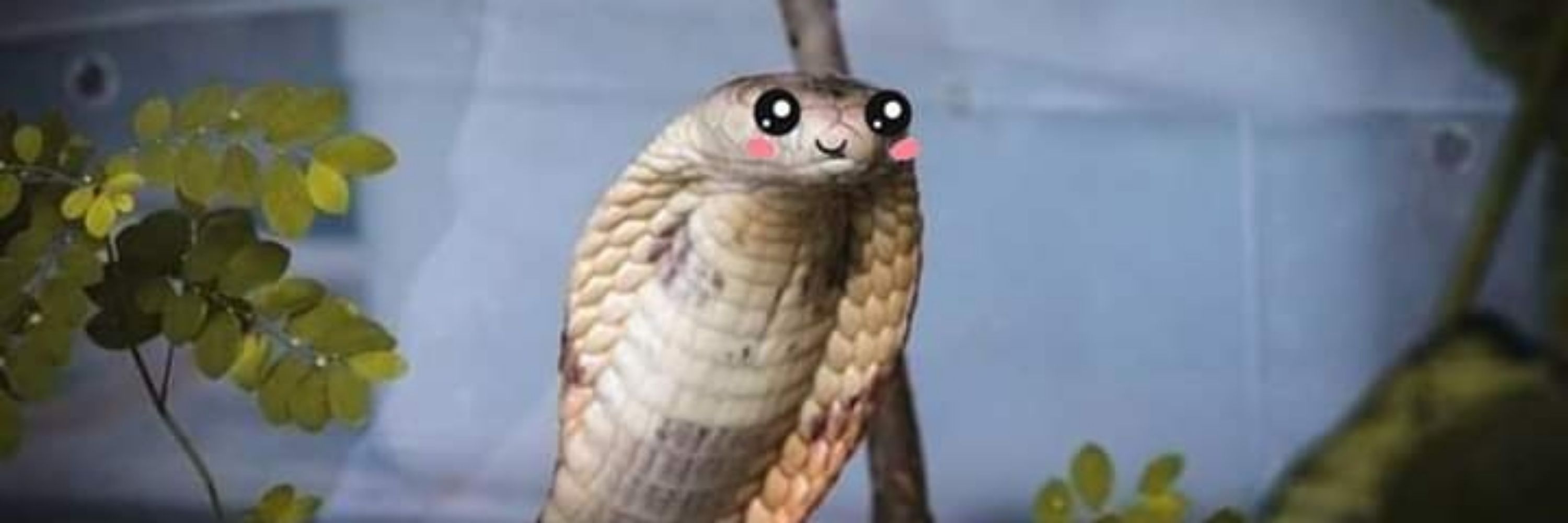 Aninha 