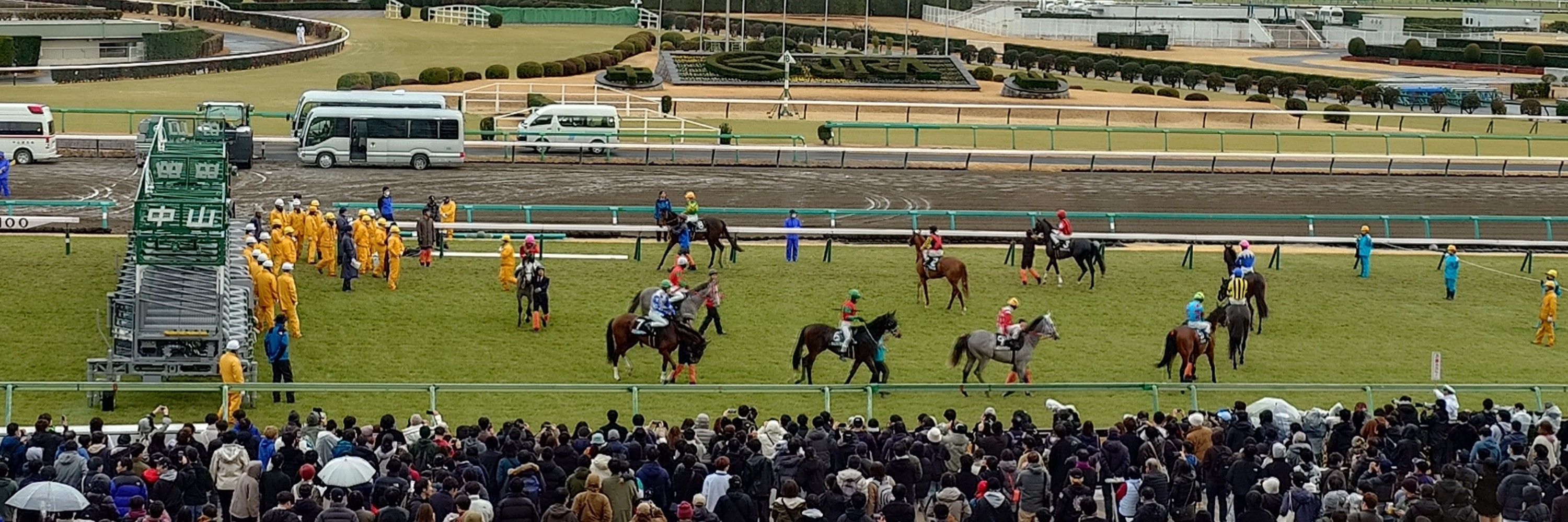 とりっぴー🍅