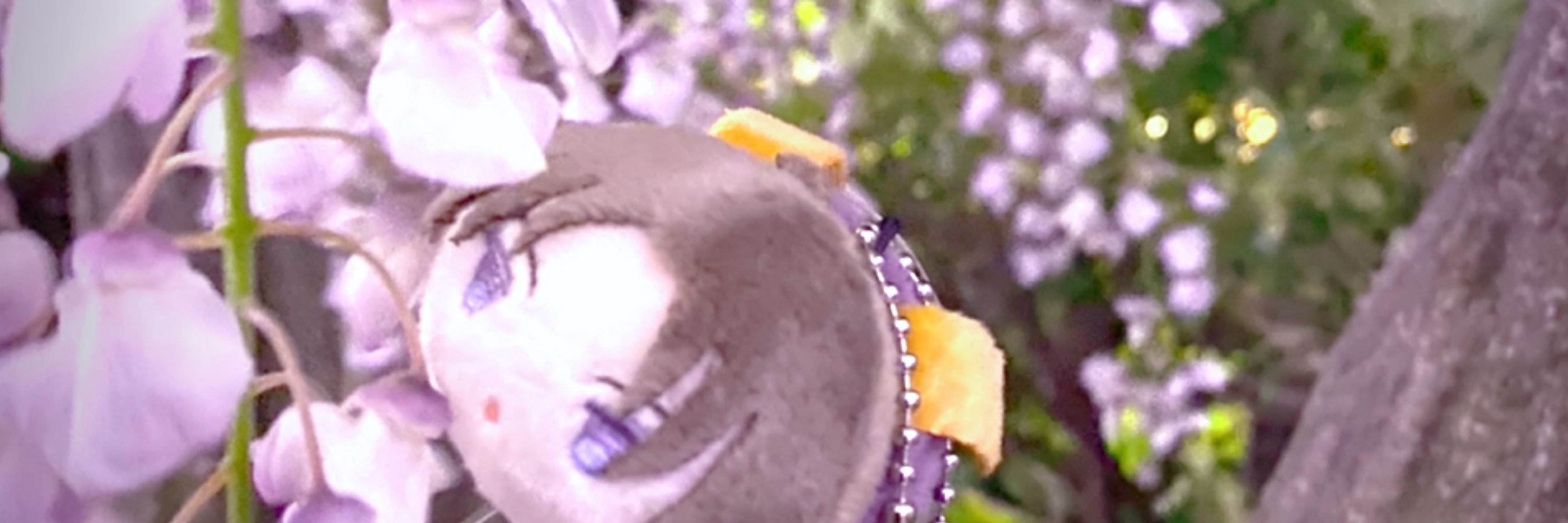 すぷ