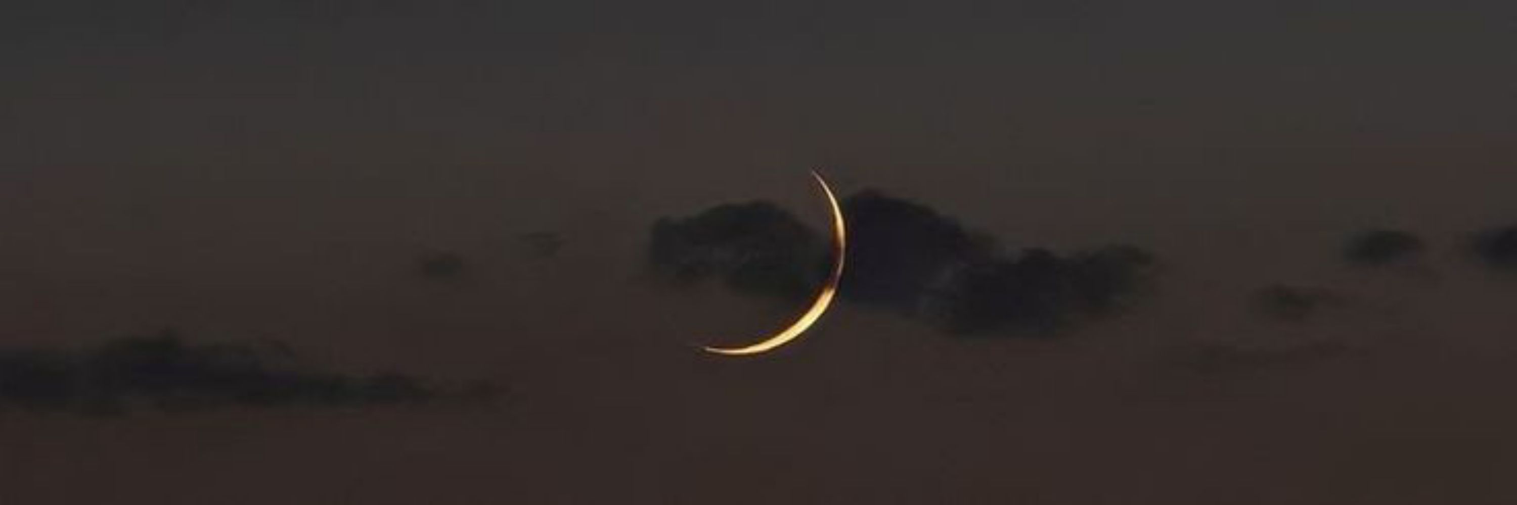 باولا فاكوري