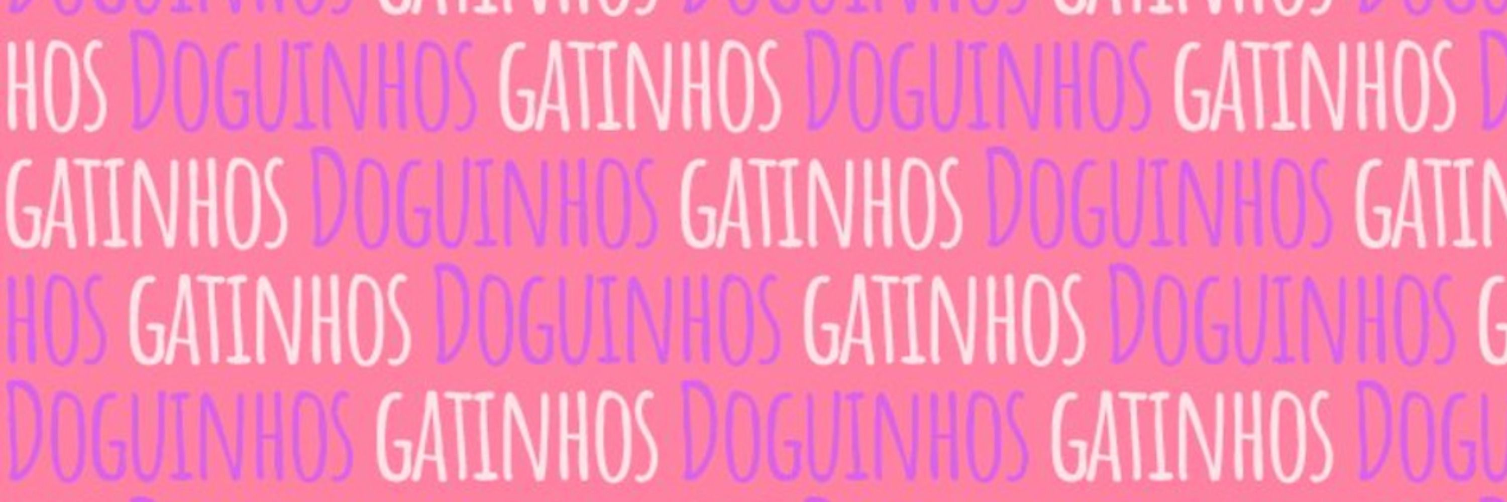 Cappets - Gatinhos 24 horas