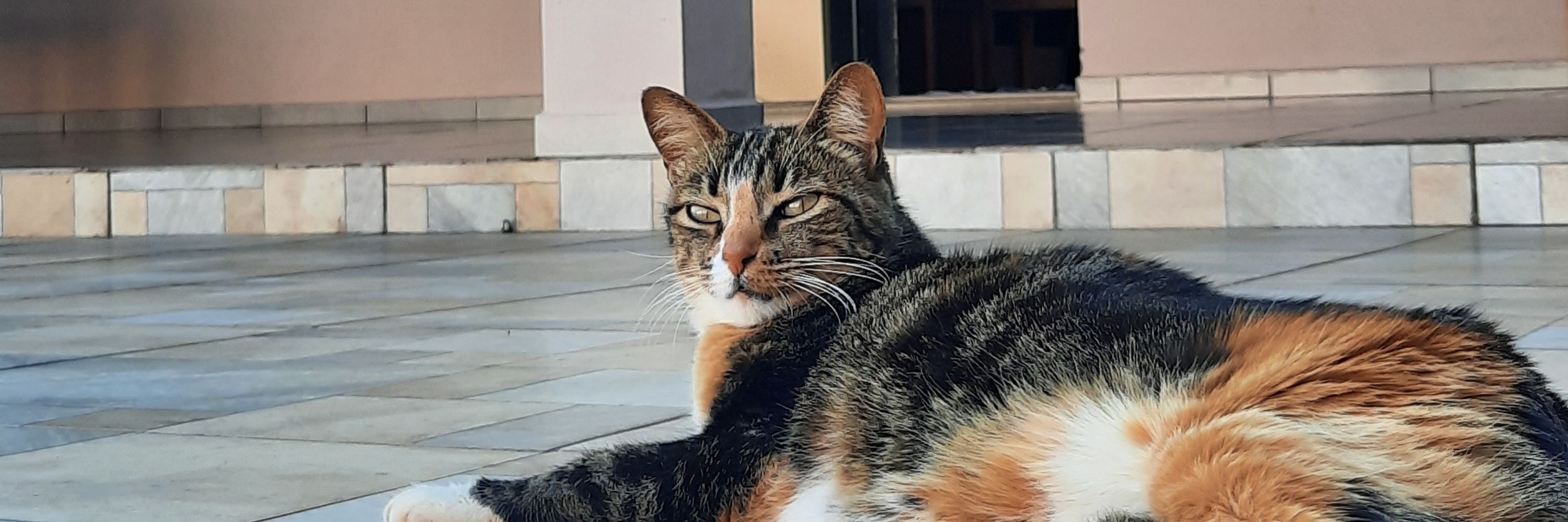 bia