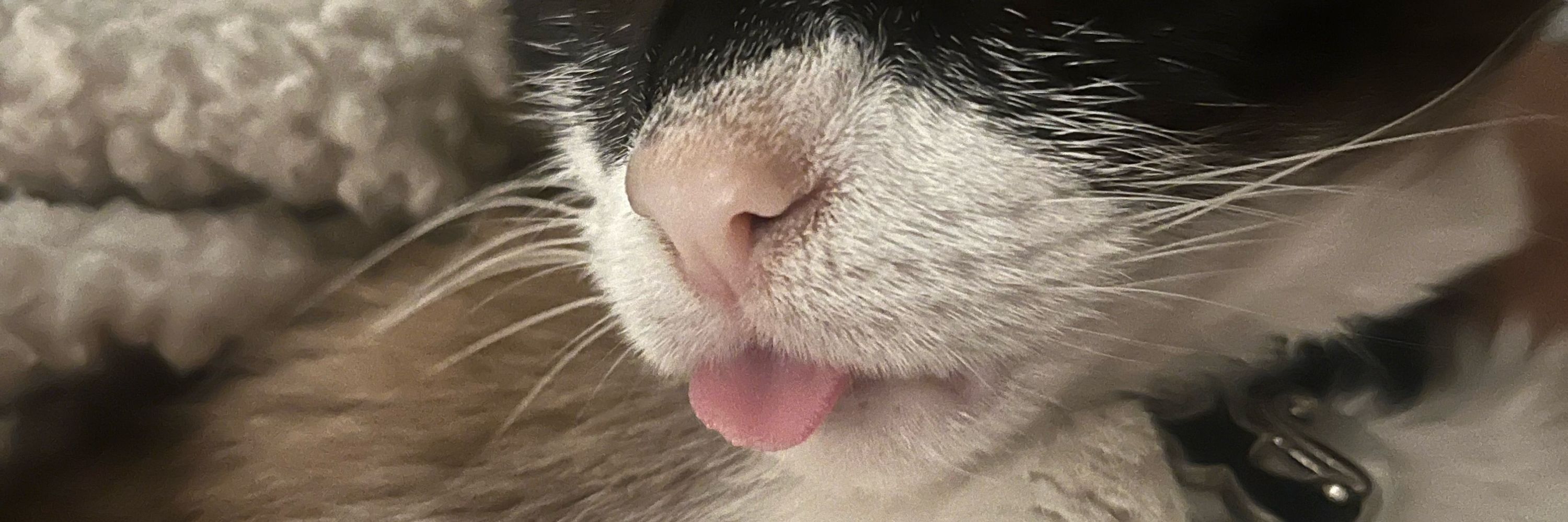 🌙