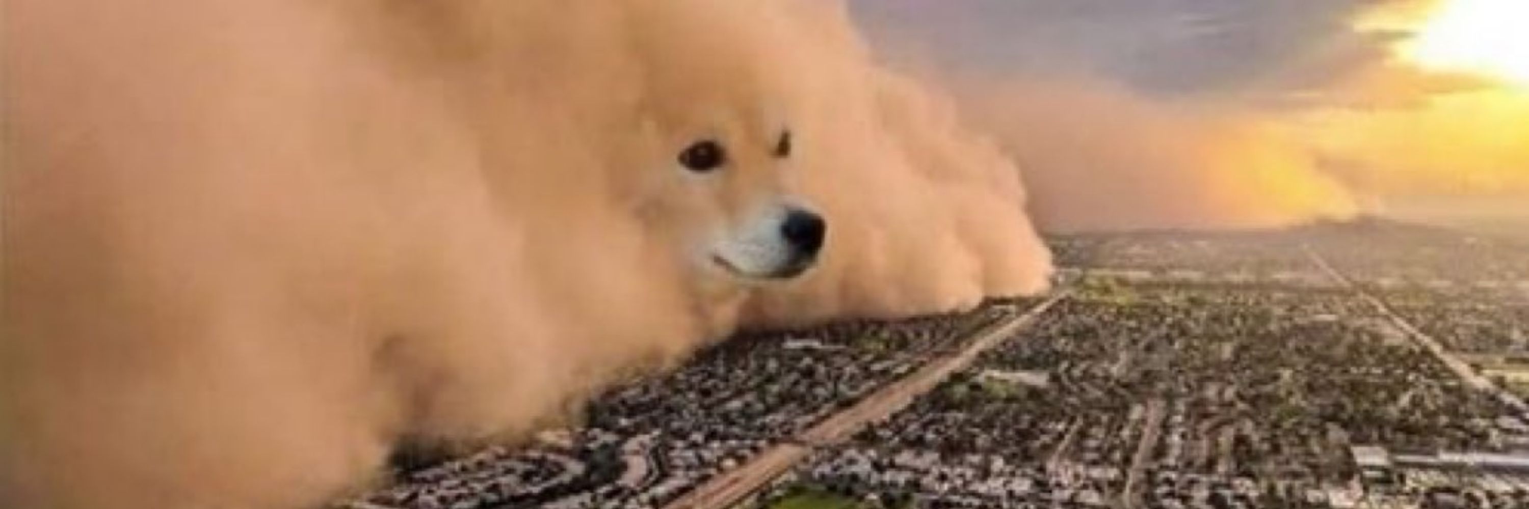 山气自成云