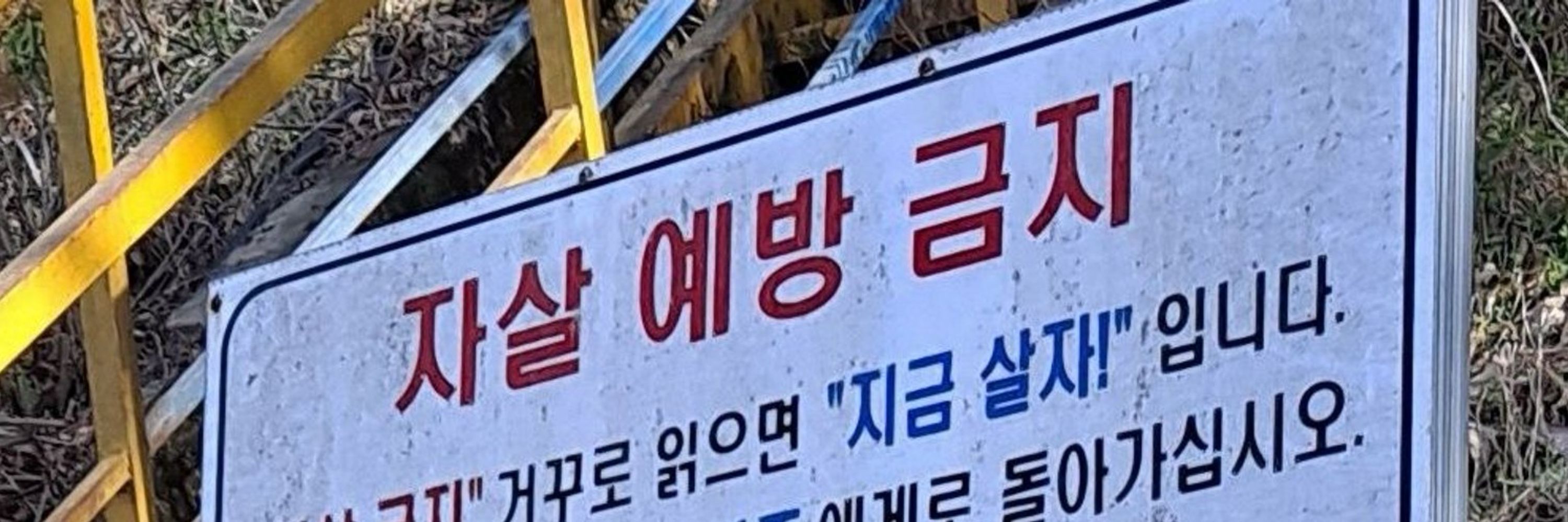 발녀