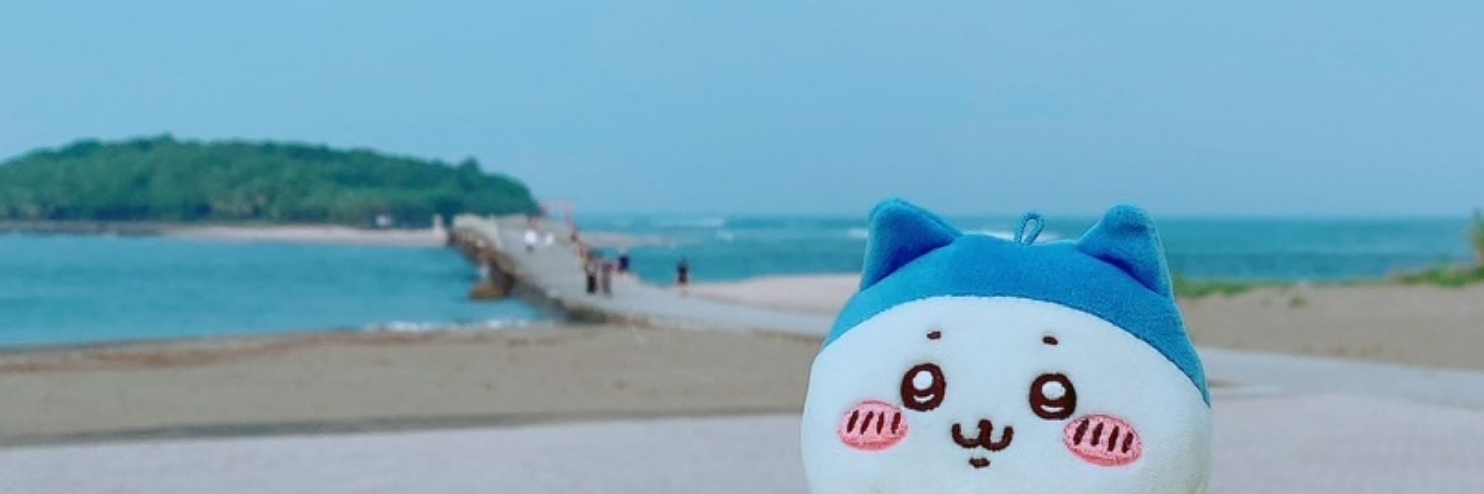 歩未🐹