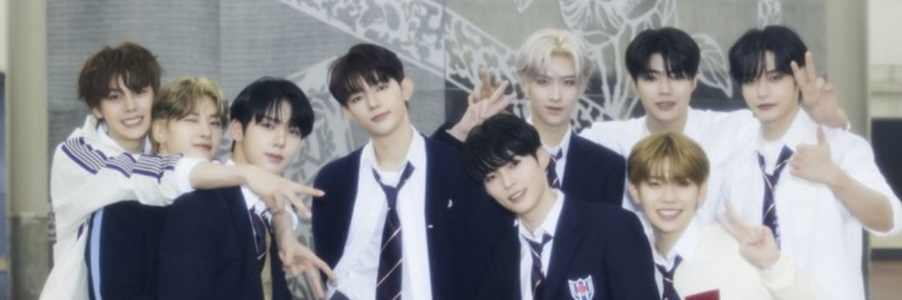 선물🧸