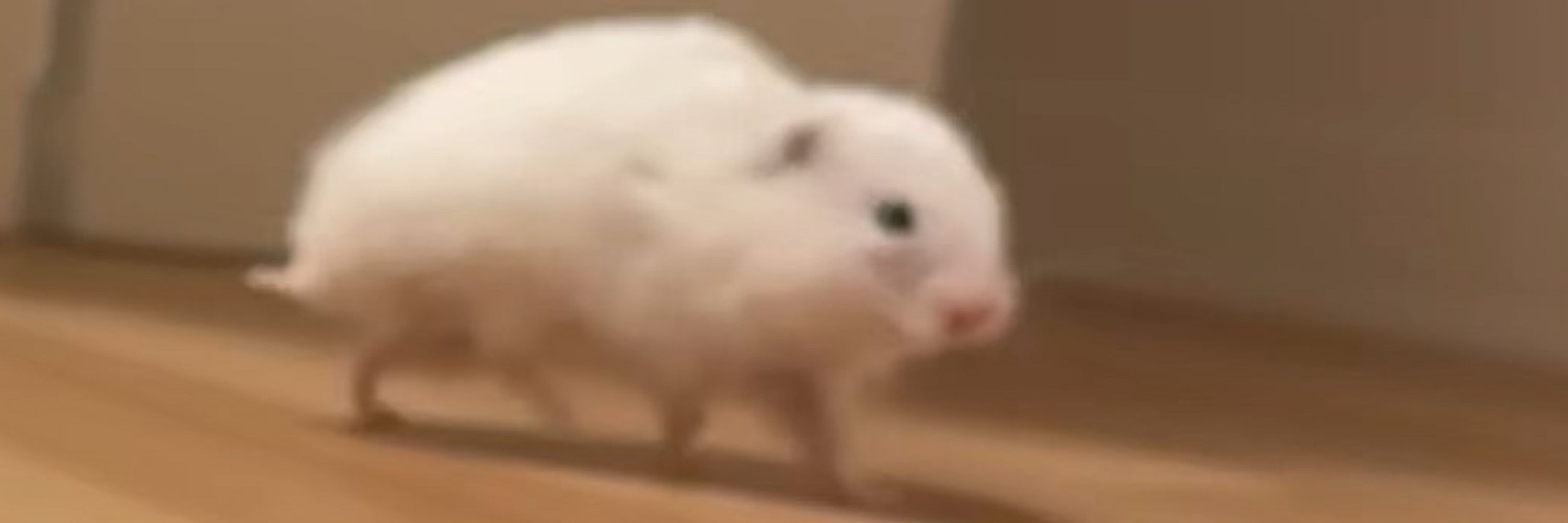 오류