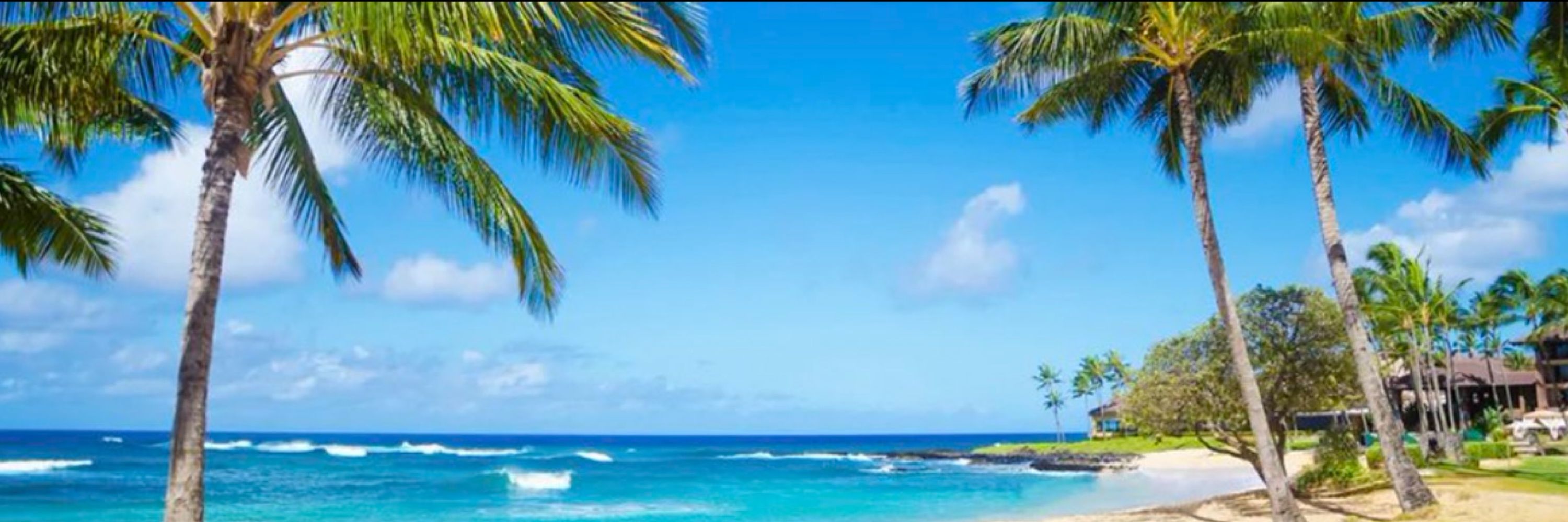 MISTRESS LAVENDER 🏝️ findom