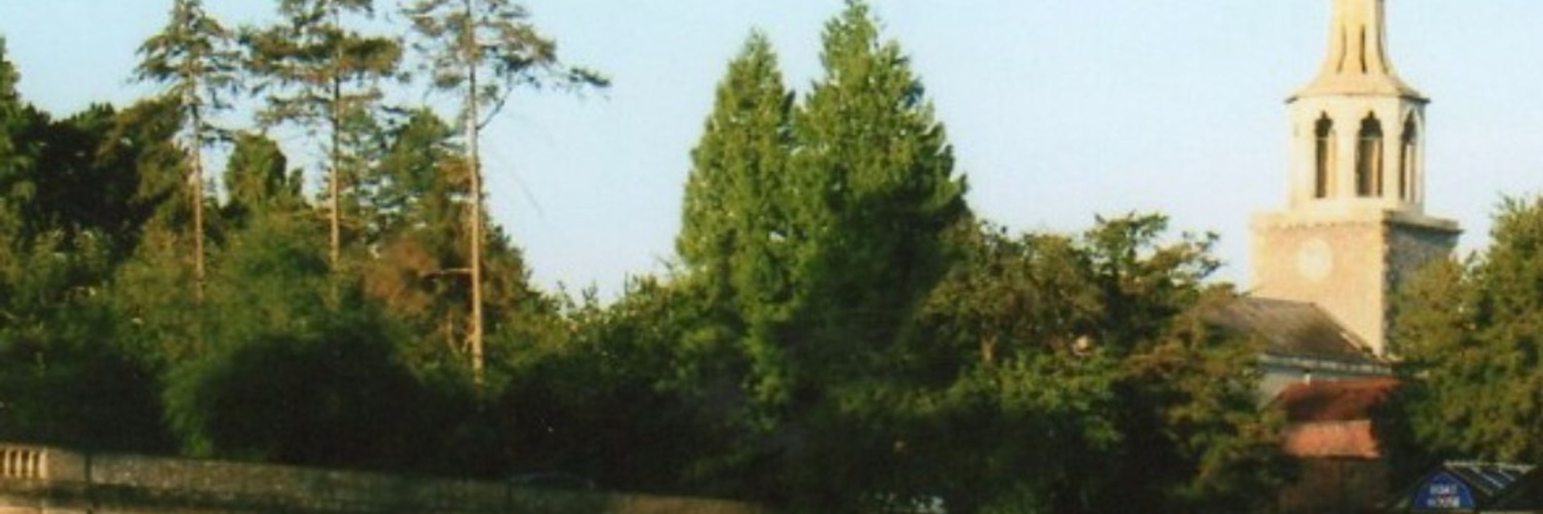 Satwaki Chanda