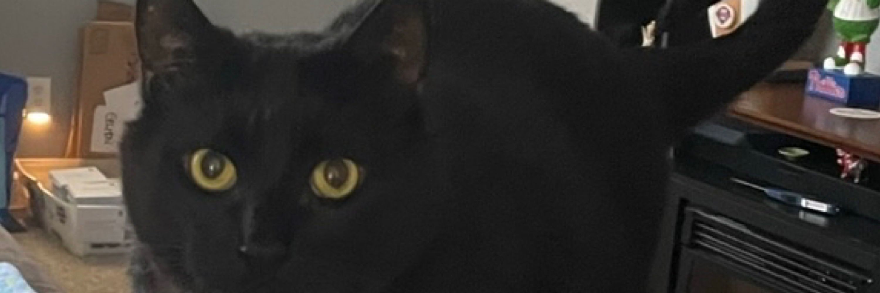 Rkrgrrl