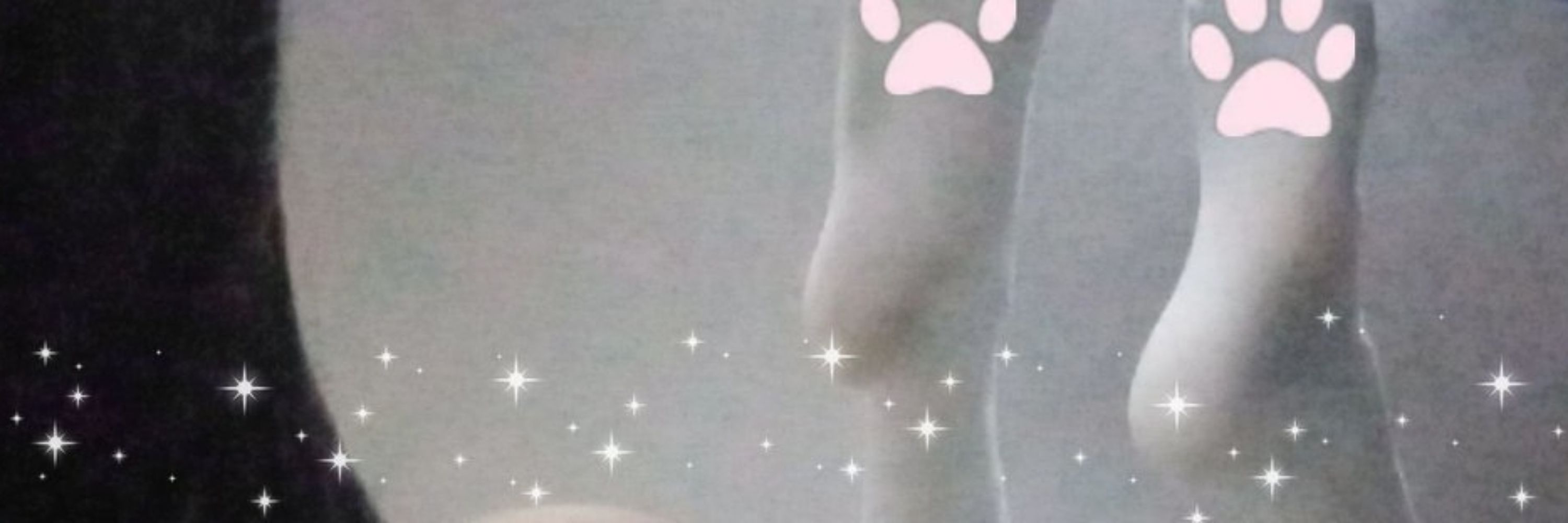 Spfcaat
