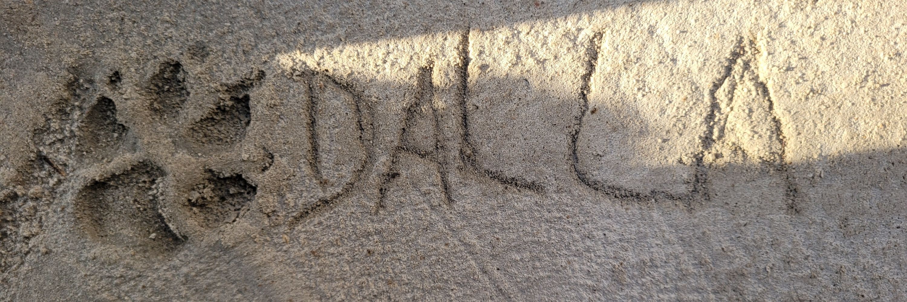 dayday ☆