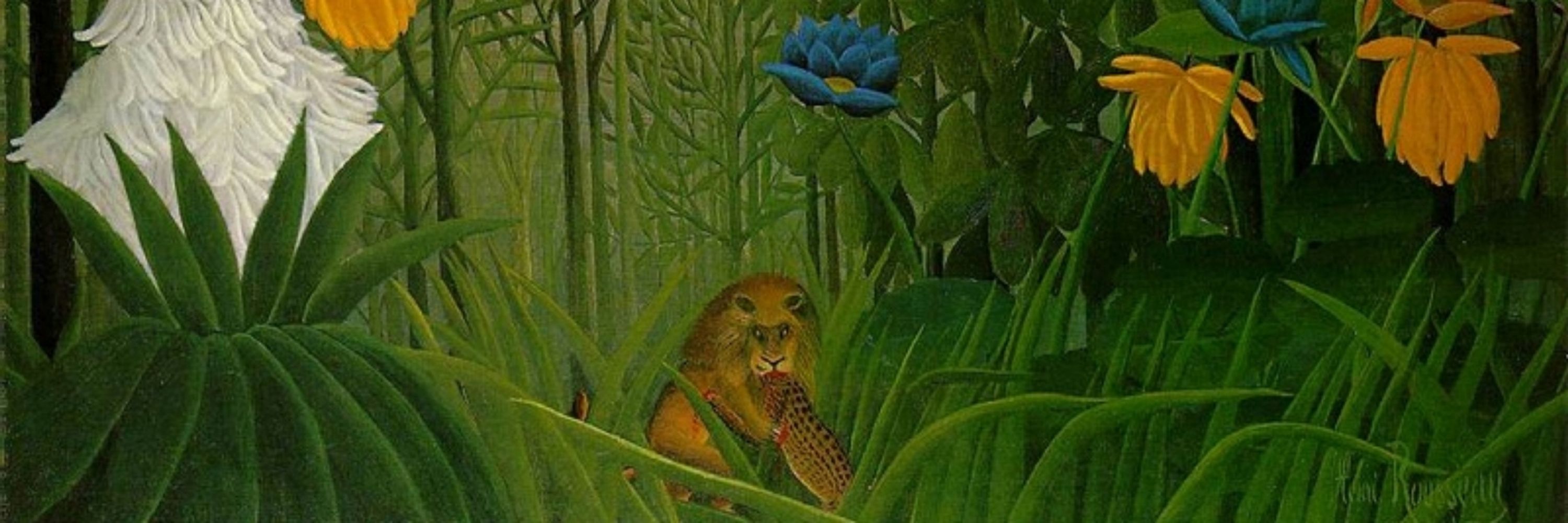 Jim Witte