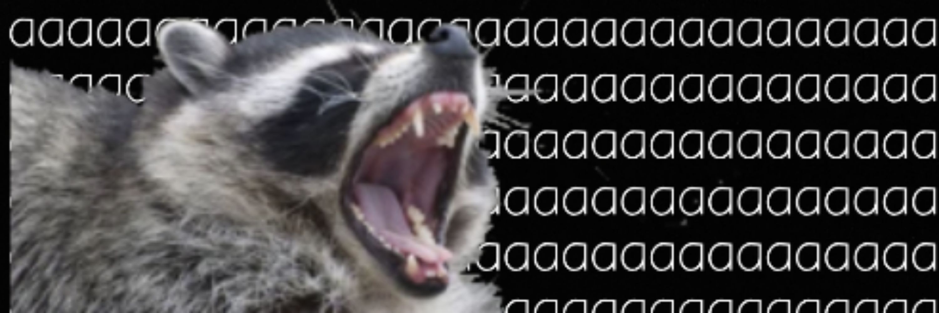 S a I I D 🦝