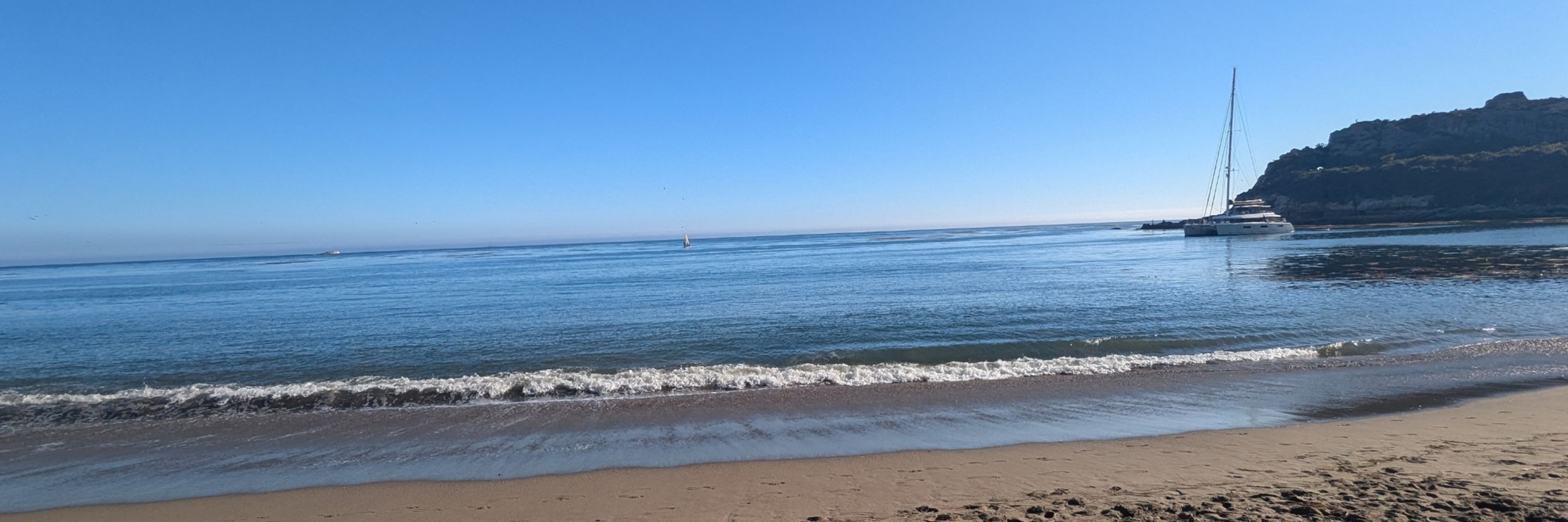 Cali 🐻