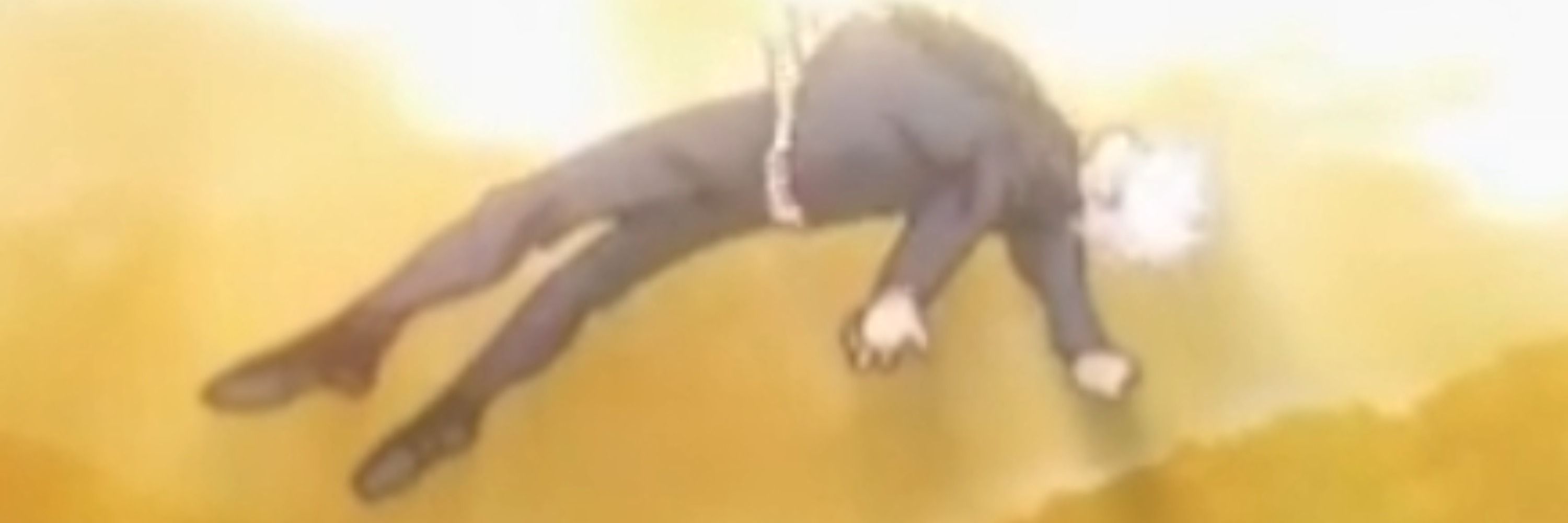 pig (👁️ ansioso pra outubro)