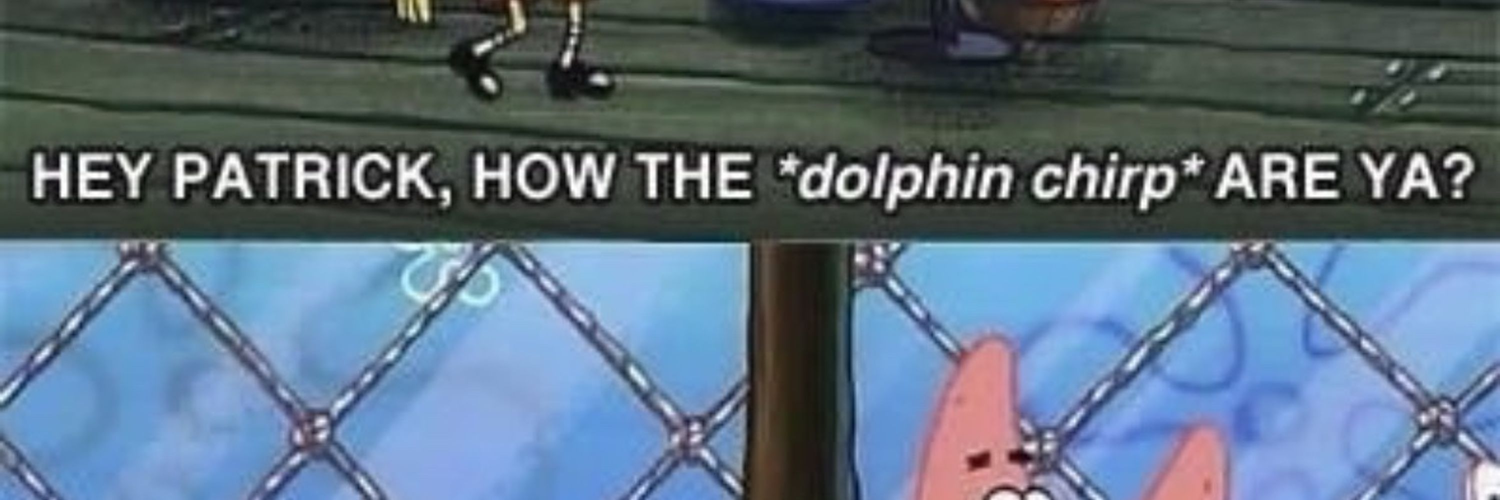 ES