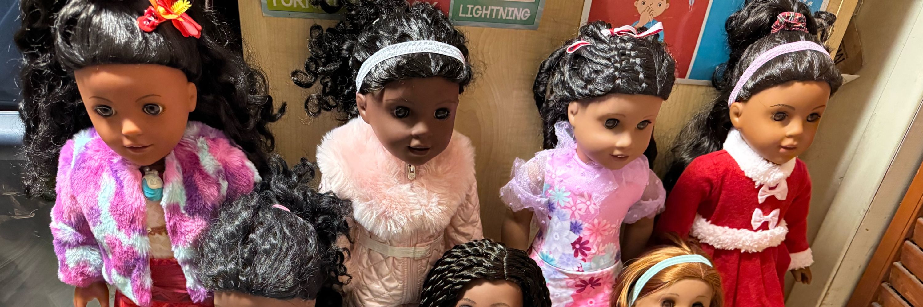 AGIG,Funko,Pushie and Monster High collector