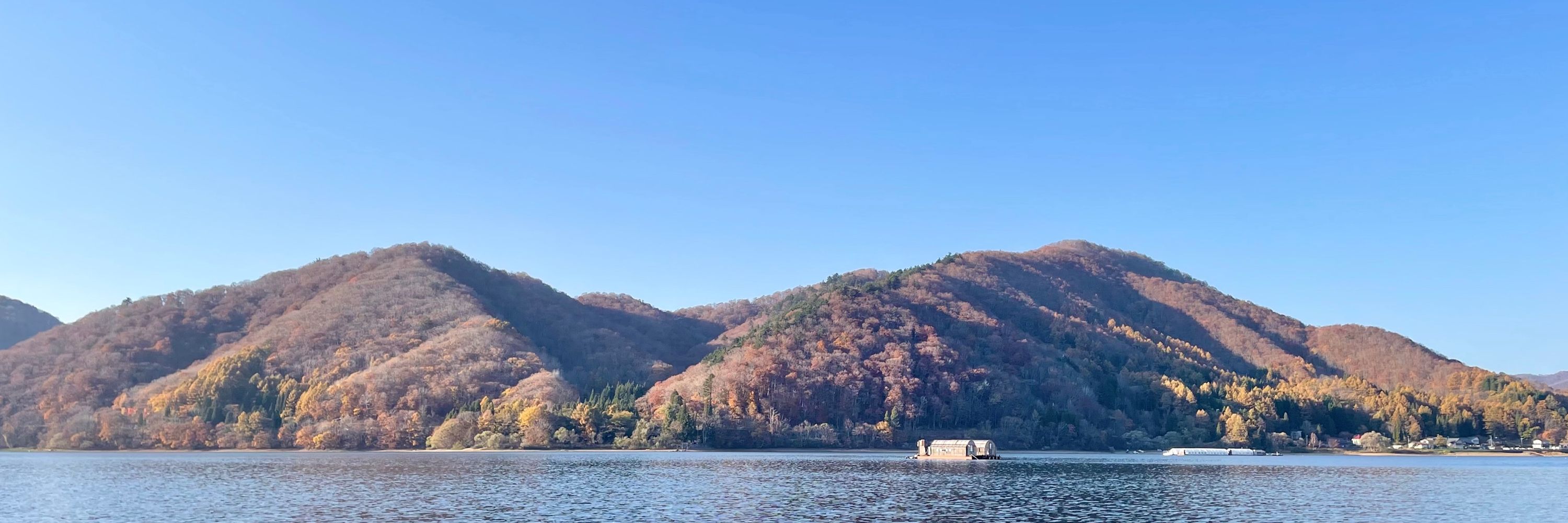 田村　正文🎣🍈🌪️