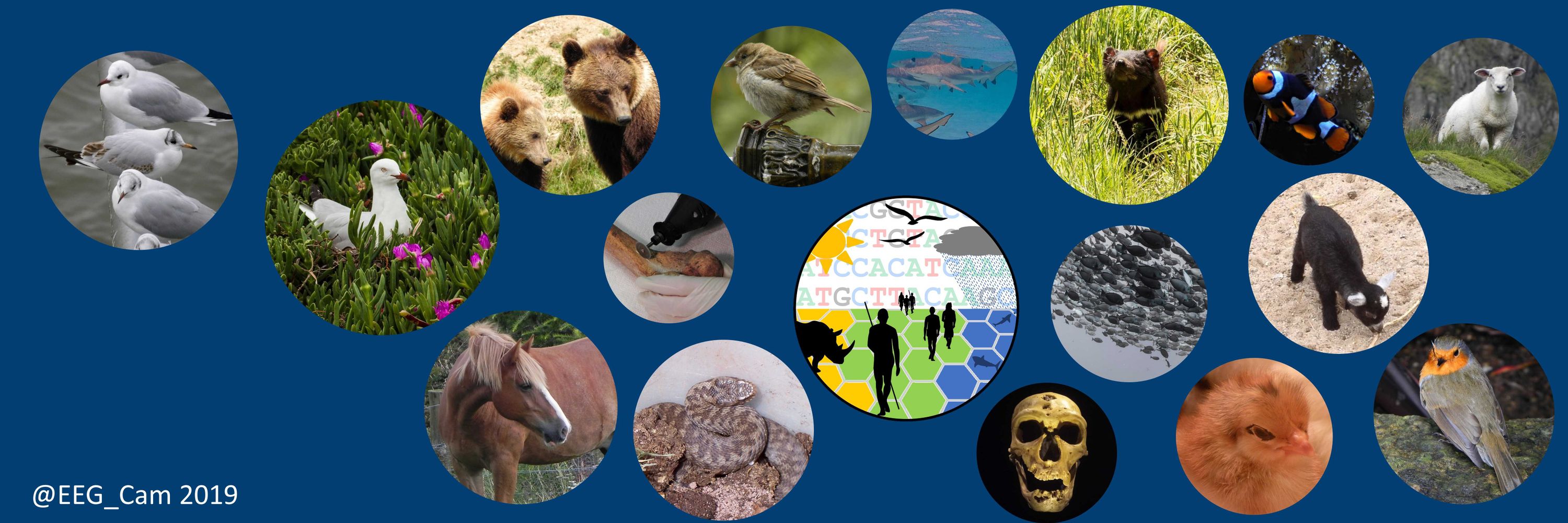 Evolutionary Ecology Group, Cambridge