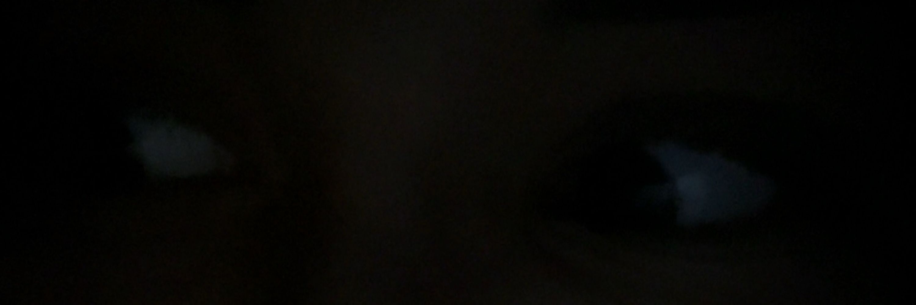 𝕋𝕙𝕖 ℍ𝕠𝕟𝕠𝕣𝕒𝕓𝕝𝕖 𝕏𝕚𝕩 (they/them)