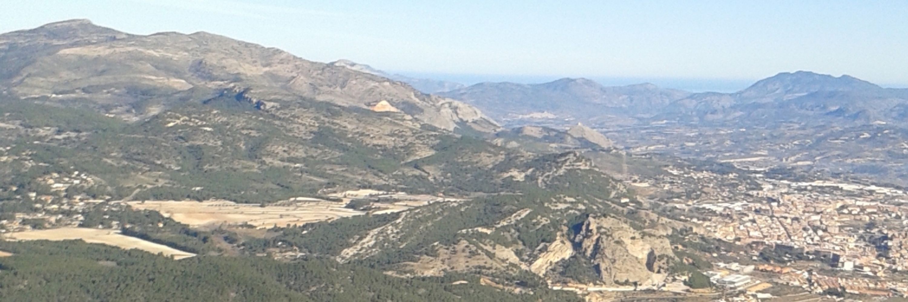 Josema. 🎸⛰️ 🐺  🐻  🦅 🦉 🦇 🐢 🐝 🌲 🍄